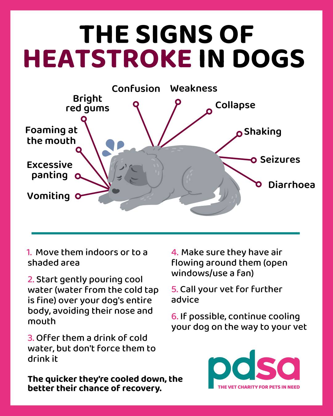 heatstroke new