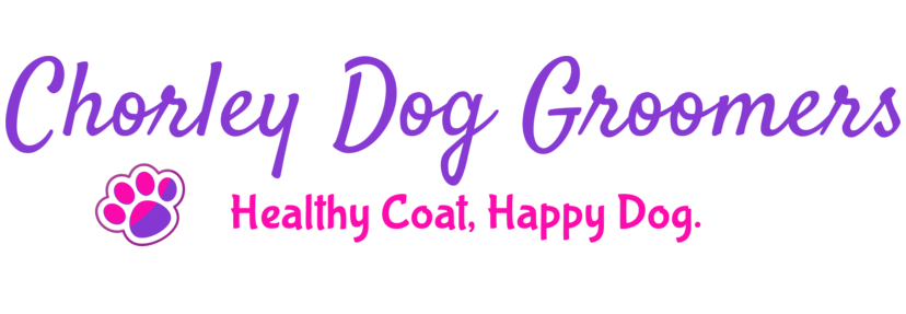 chorley dog groomers 2