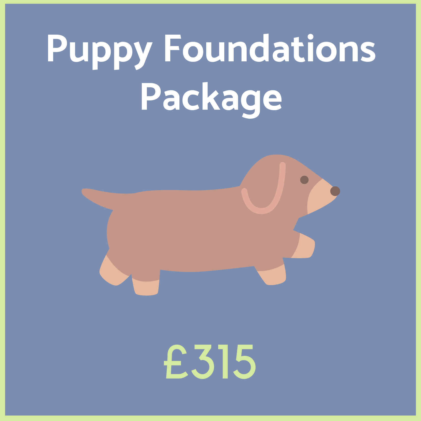 Puppy Foundations Package