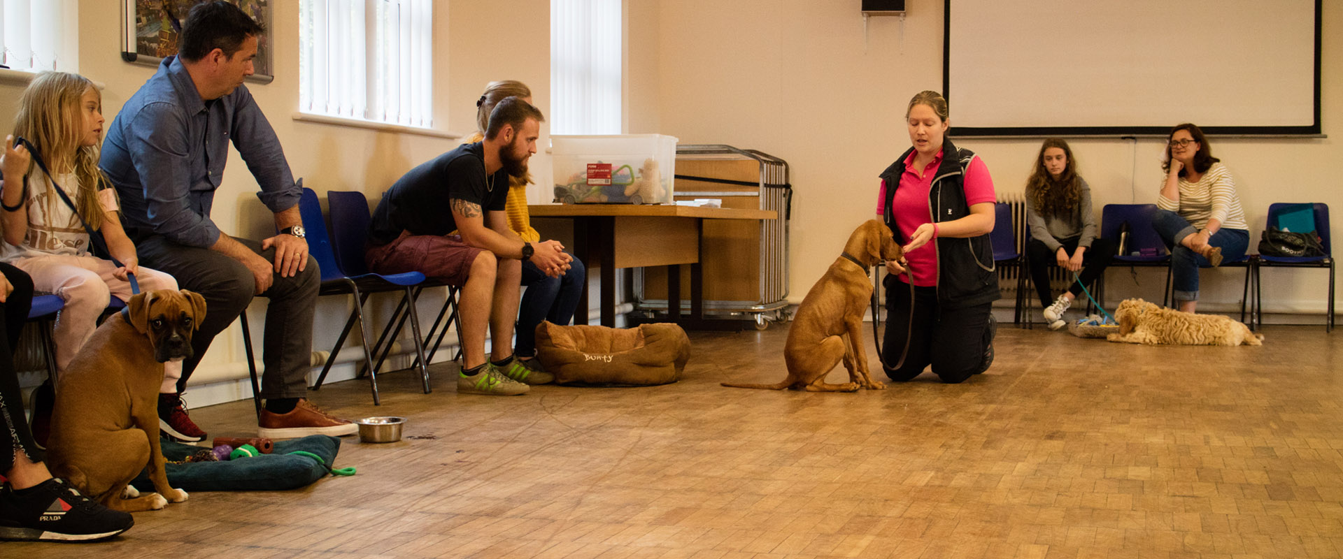 Canine obedience store classes near me